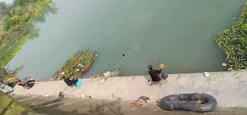 过河钓教学视频,跟随教学视频学钓技